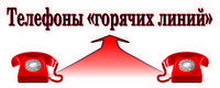 Горячая линия
